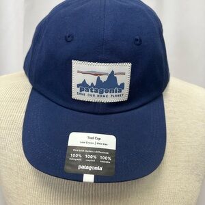 Patagonia Trad Cap